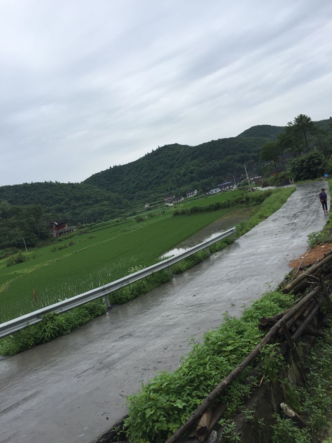 大坦乡天气预报更新通知