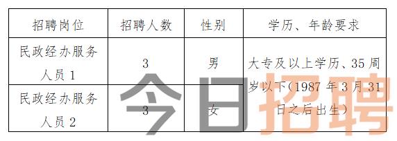 楚雄彝族自治州交通局最新招聘概览