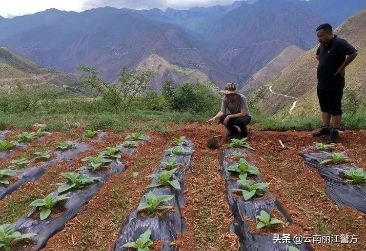 宁蒗彝族自治县公安局领导团队，引领与担当的新力量