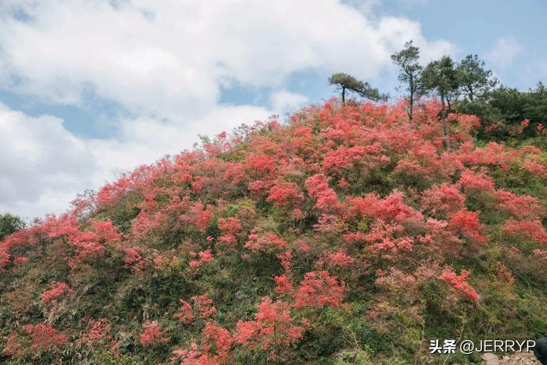 2025年2月15日 第11页