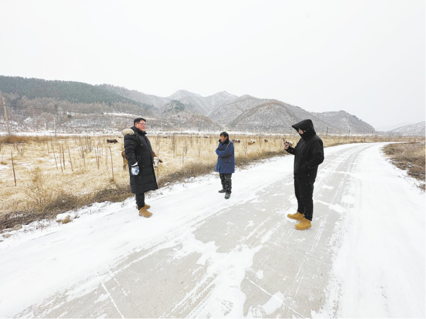 茅荆坝乡人事任命揭晓，引领地方发展开启新篇章