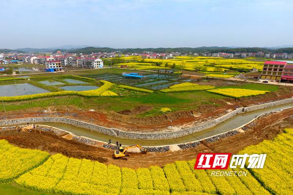 梓门桥镇新项目，引领地区发展新标杆