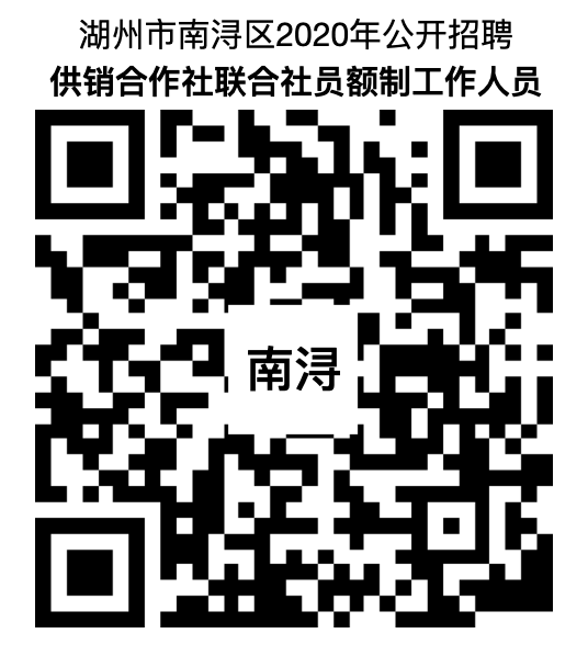 南浔镇最新招聘信息全面解析